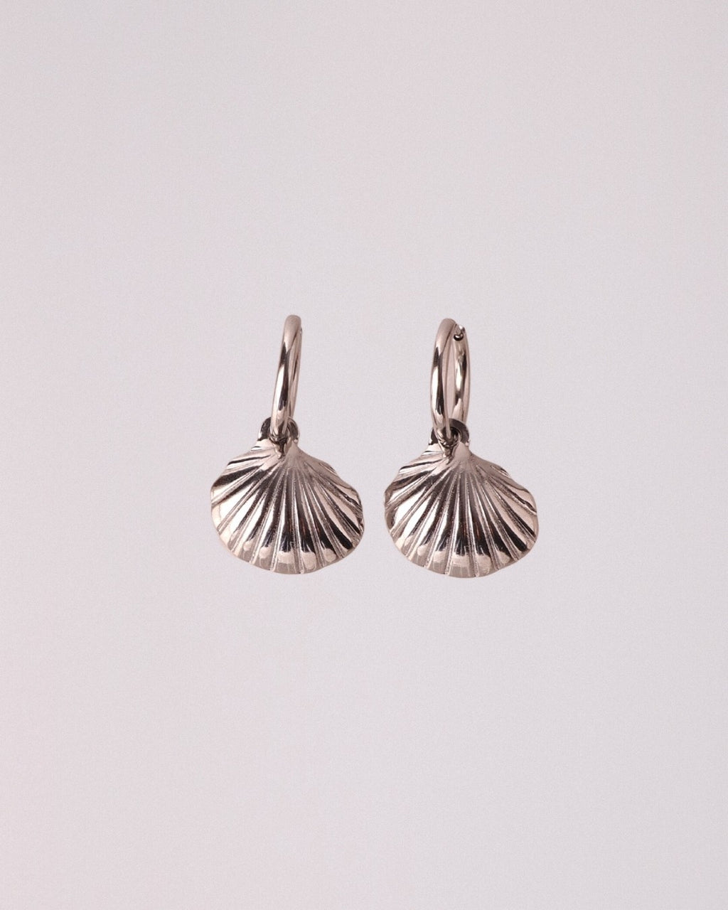 Pendientes Concha Acero Inoxidable