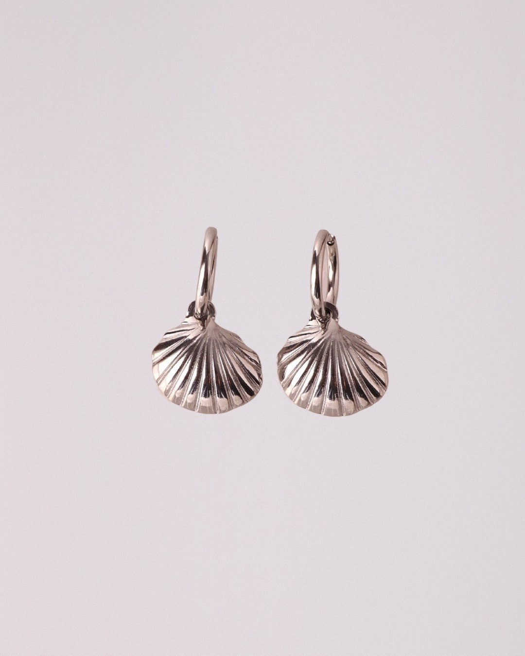 Pendientes Concha Acero Inoxidable