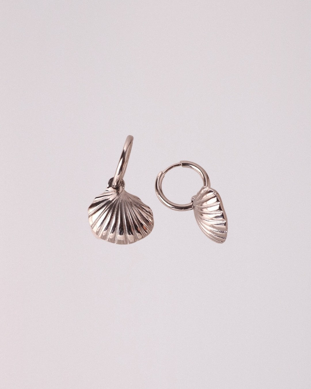 Pendientes Concha Acero Inoxidable