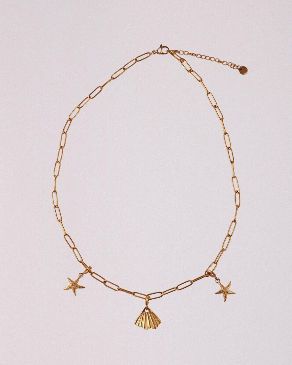 Collar Orilla Acero Inoxidable