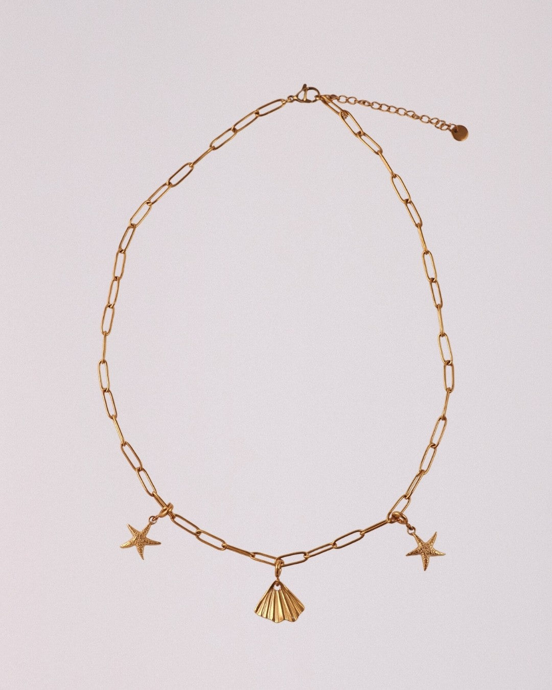 Collar Orilla Acero Inoxidable
