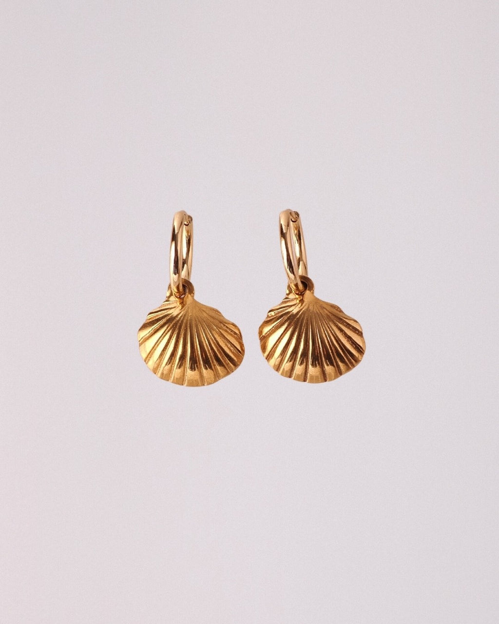 Pendientes Concha Acero Inoxidable Dorado