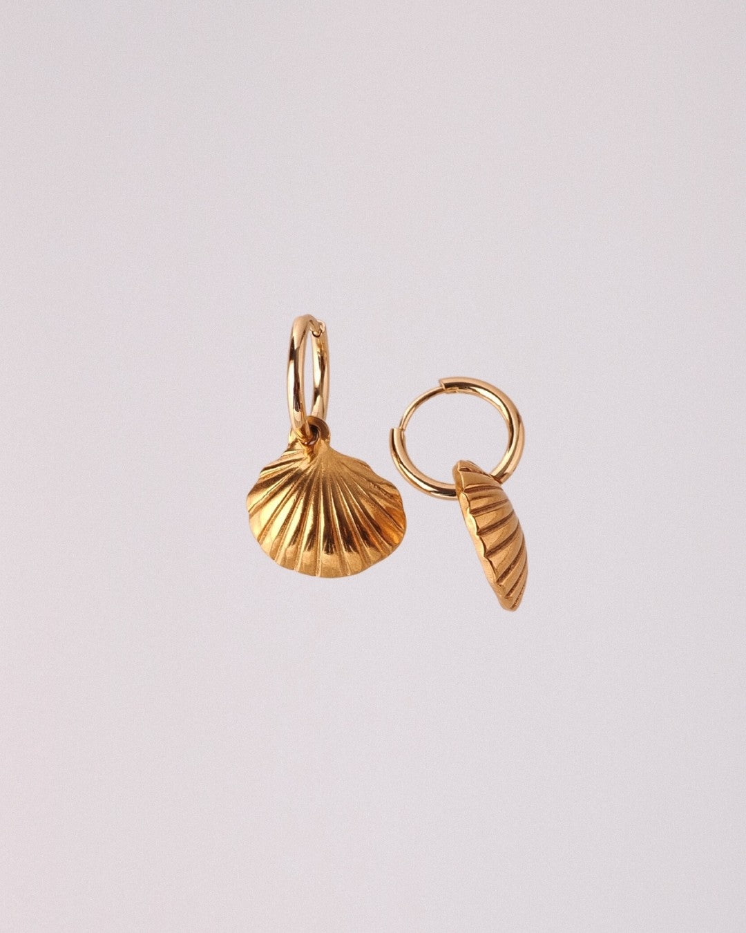 Pendientes Concha Acero Inoxidable Dorado