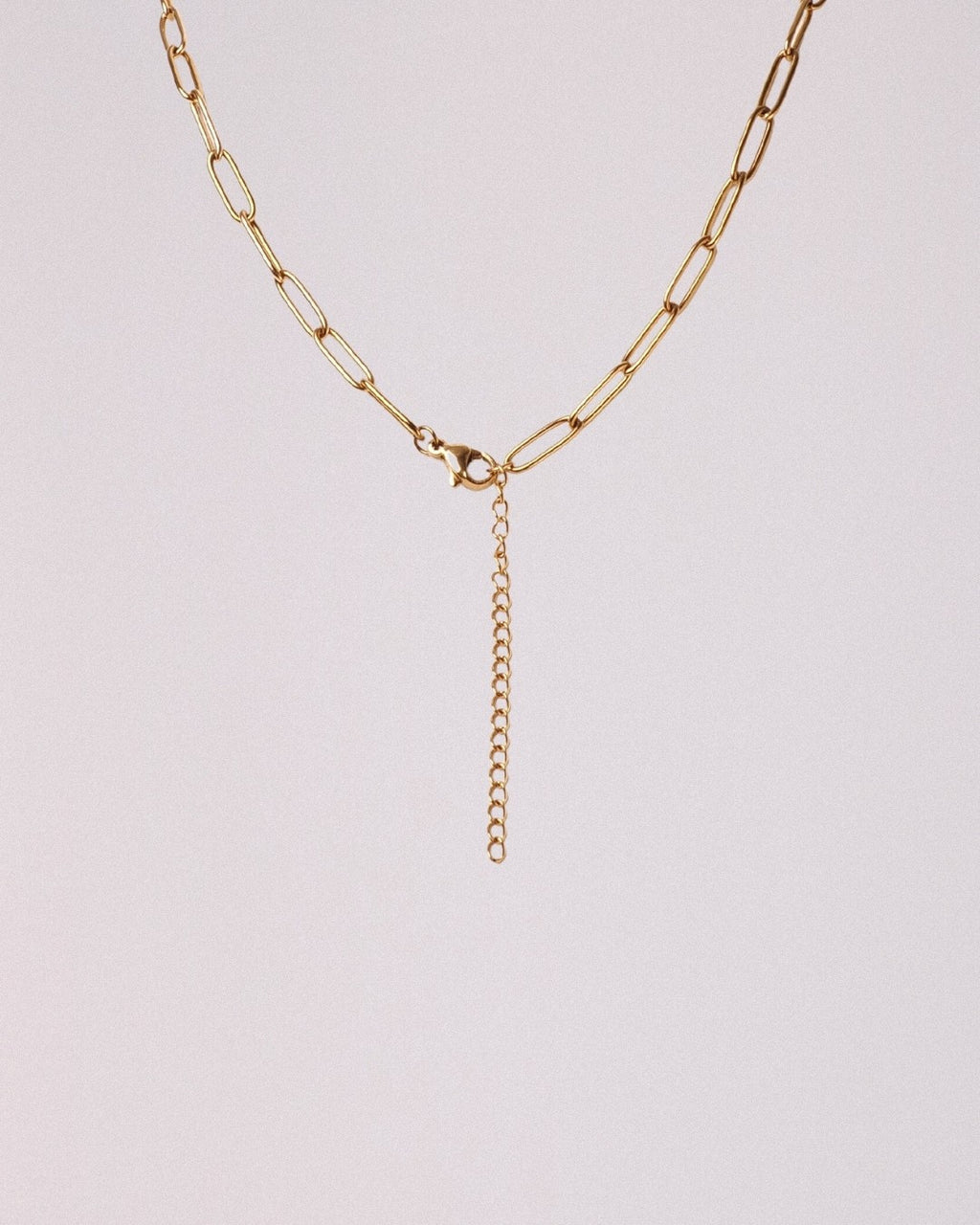 Collar Carina Acero Inoxidable Dorado