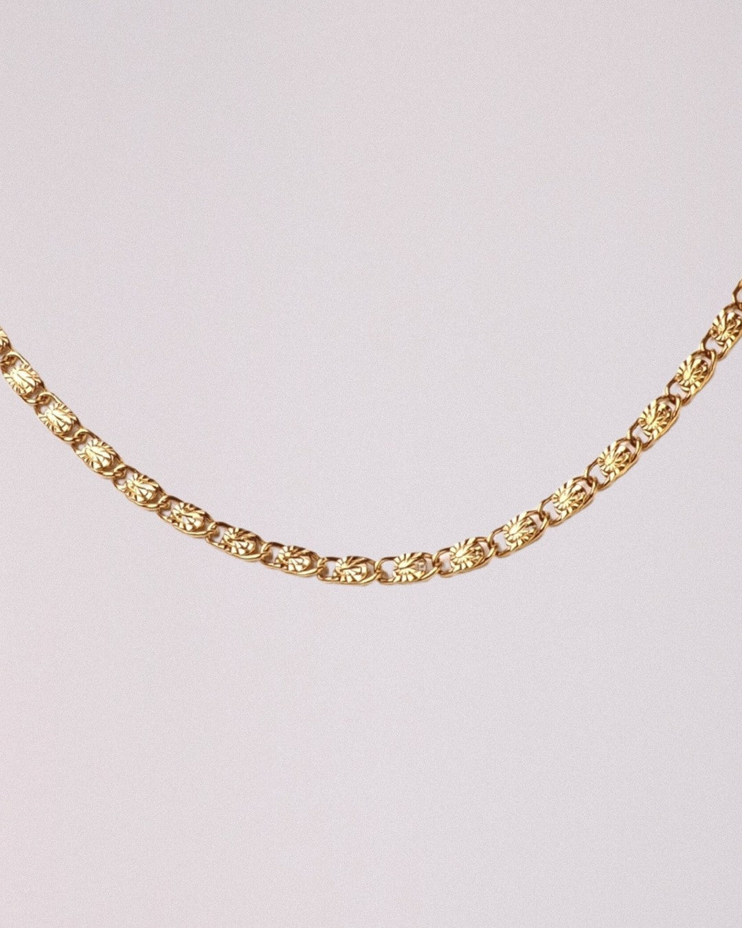 Collar Norma Acero Inoxidable Dorado