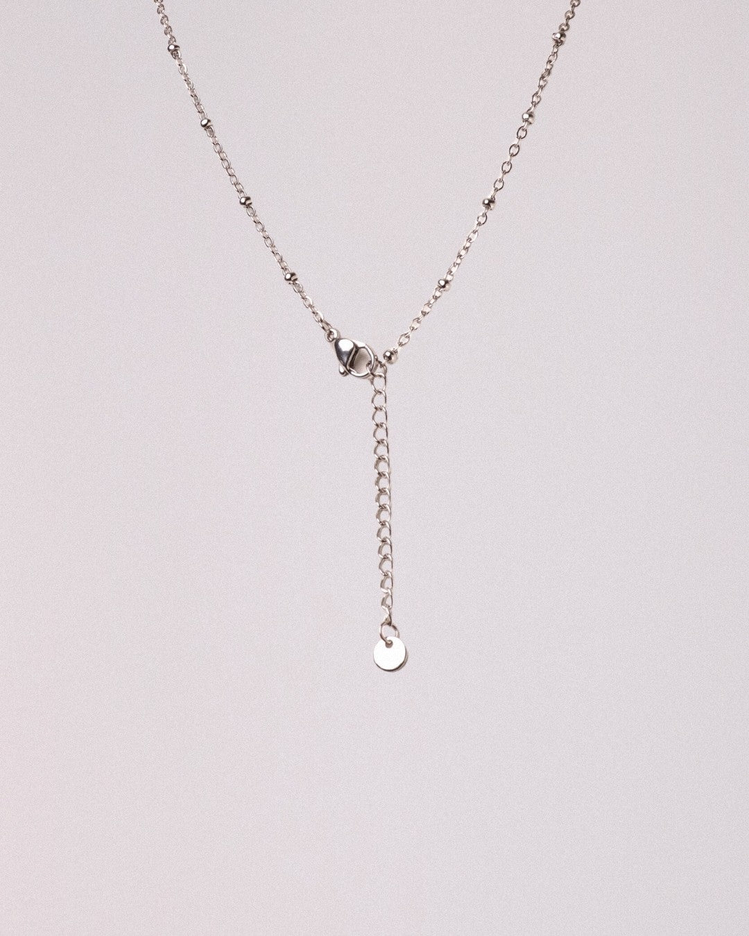 Collar Osa Acero Inoxidable
